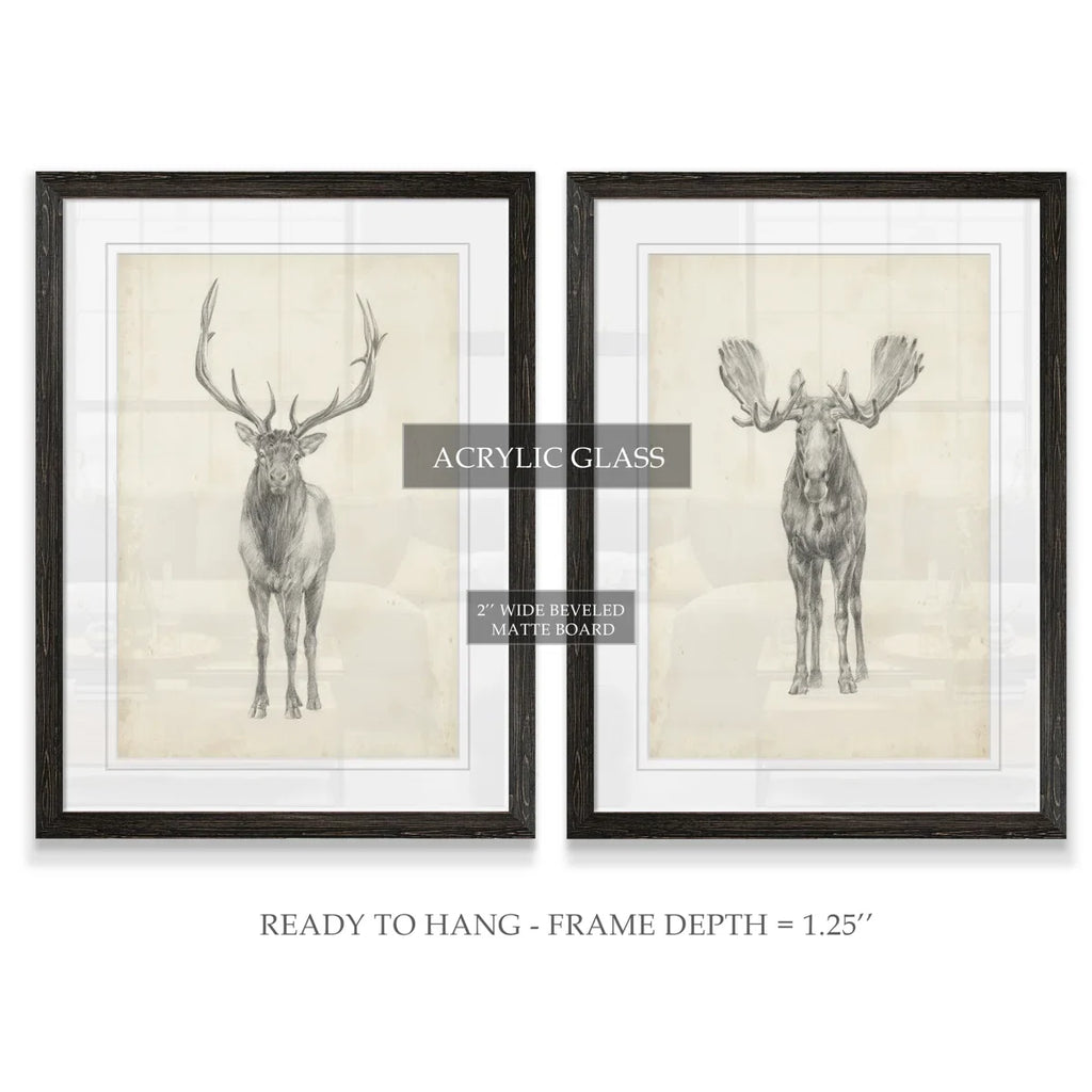 " Moose Study " by Antonyus Bunjamin (Abe) 2 - Pieces