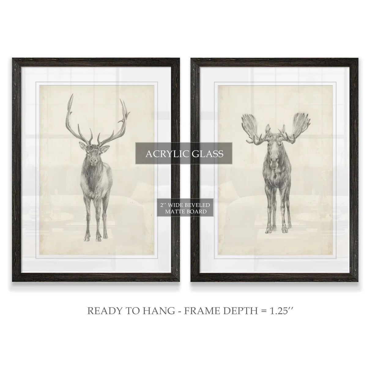 " Moose Study " by Antonyus Bunjamin (Abe) 2 - Pieces