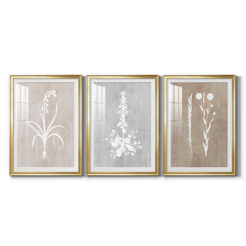 " Botany Beauty I " 3 - Pieces Painting Print